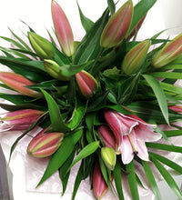 Lily Lover
