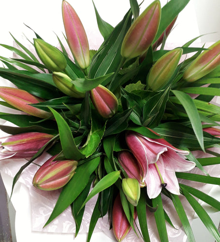 Beautiful Lilies