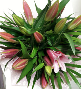 Beautiful Lilies