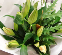 Lily Lover